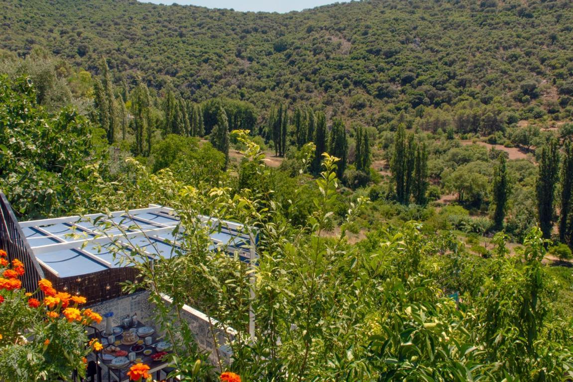 Stunning Home Benamahoma 4 Bed - Sierra Grazalema Екстер'єр фото